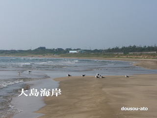 oshima1.jpg